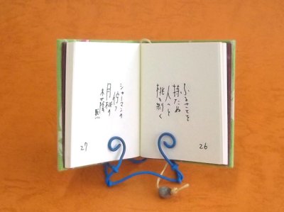 本文の共通画像です。