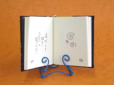 本文の共通画像です。