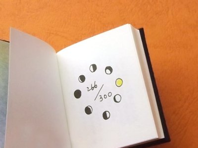 限定300冊のうちの266番