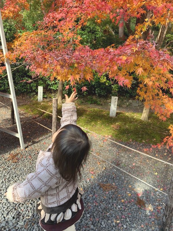 京都・長岡京・光明寺　の紅葉