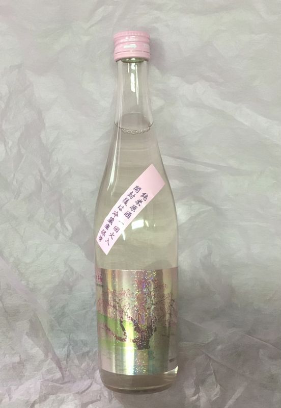 ◎呑める　”滝桜”　福島県三春町より