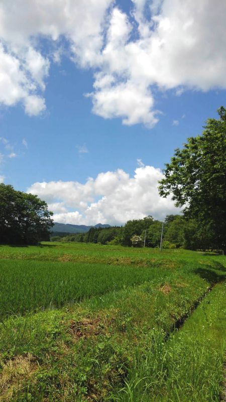 ◎岩手県