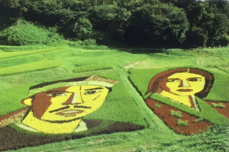 ◎明智光秀＆濃姫の田んぼア－ト　◎福島県三春町・熊さん便り