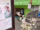 画像: ◎ガレ－ジ出店　また再開します。　京都手作りお散歩・海文舎