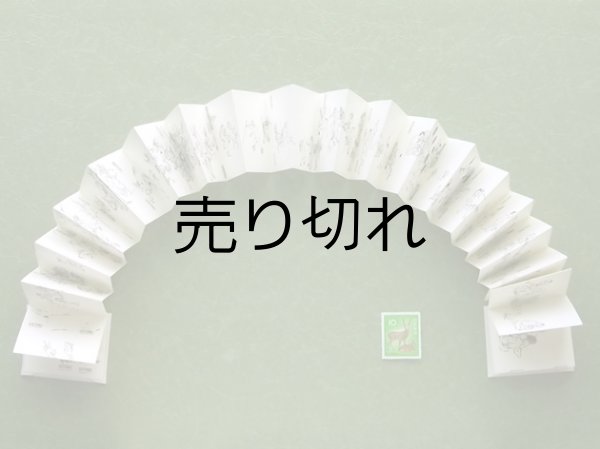 本文の長さ約1ｍ47ｃｍ