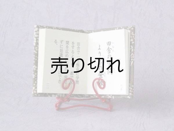 本文の共通画像です。