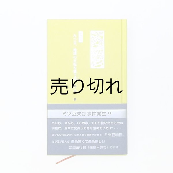 親本(約108mm×187mm)　182頁、上製本仕上げ、帯付き
