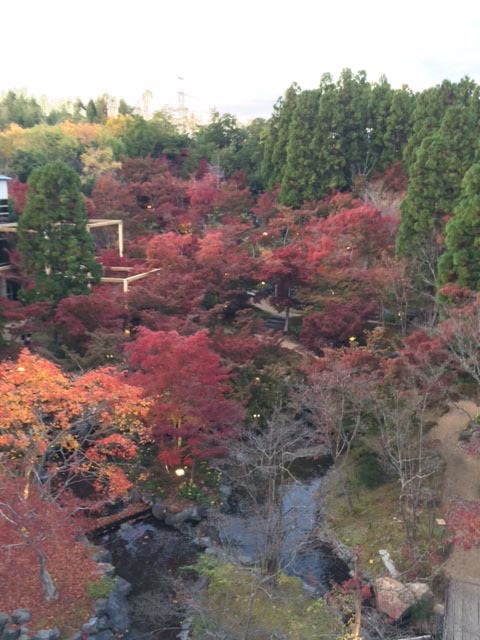 画像: **京と奈良の境目*京都精華町*の紅葉**