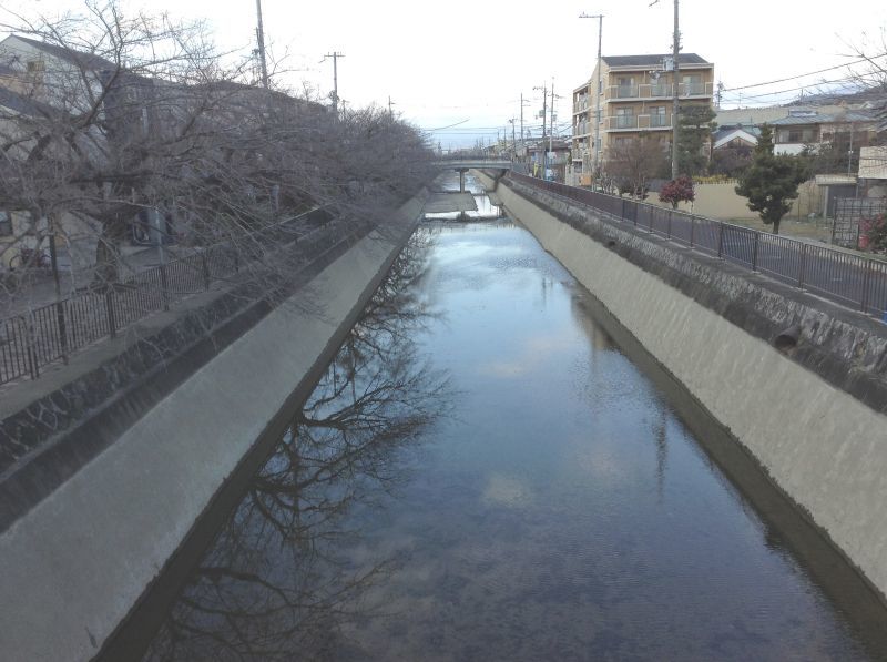 画像: 今日の琵琶湖疏水