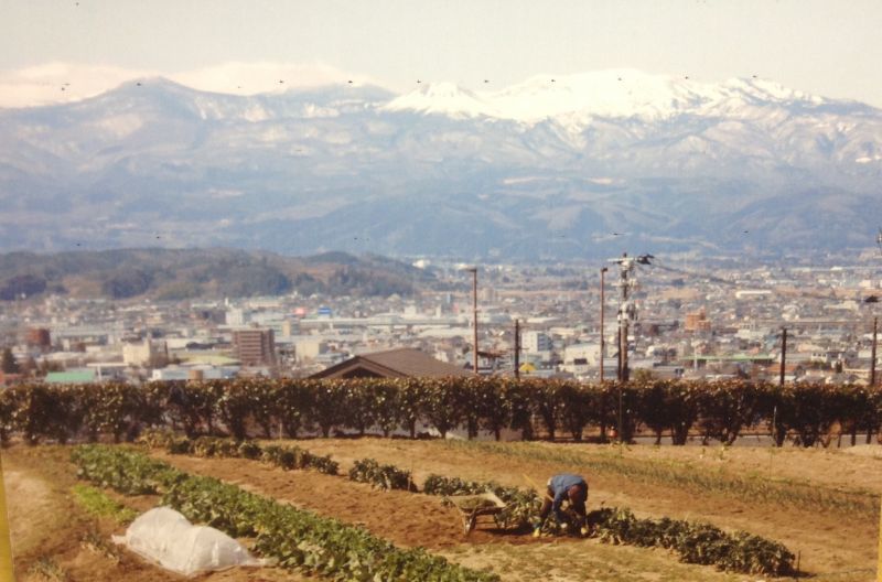 画像: 福島県三春町の 熊さん便り  狸まき時期