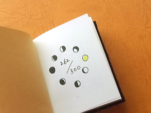限定300冊のうちの262番